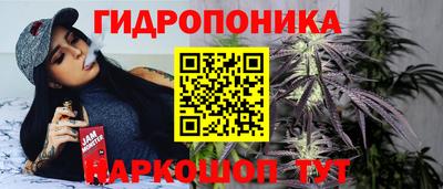 шишки Абакан