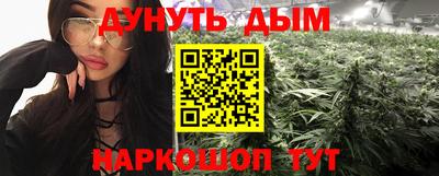 шишки Абакан