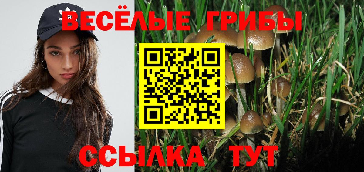 Псилоцибиновые грибы Magic Shrooms Алатырь