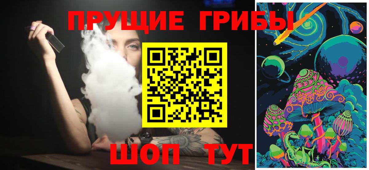 Псилоцибиновые грибы Cubensis  Вход с VPN  Псилоцибиновые грибы прущие грибы  Алатырь 